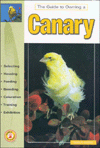 The Guide to Owning a Canary