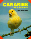 Canaries as a New Pet